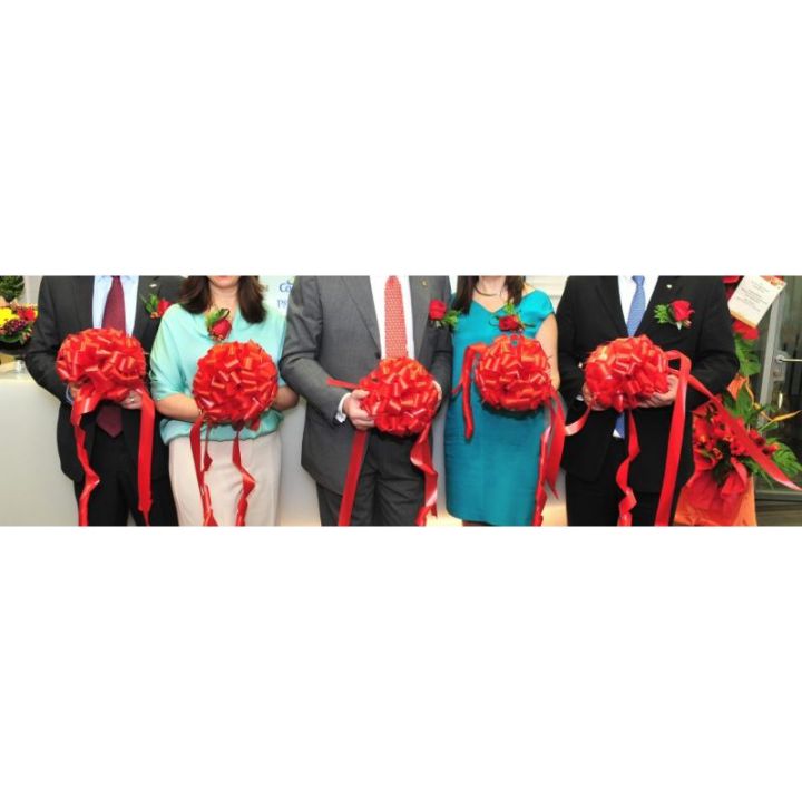 Grand Launching Ribbon Cutting Opening Ceremony Ribbon Flower Ball 剪彩仪式 ...