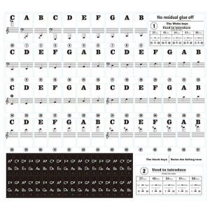 Rixton Piano Keyboard Stickers for 37/49/54/61/88 keys Transparent Detachable Music Decal Notes Piano Stickers for Hand Roll Piano Eelectric Piano for Kids Beginner Learning(Piano Keyboard Stickers)
