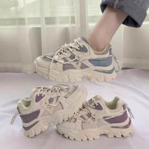 HL.PH Korean Sweet & Cool Version High Wedge Sneaker for Women #2216