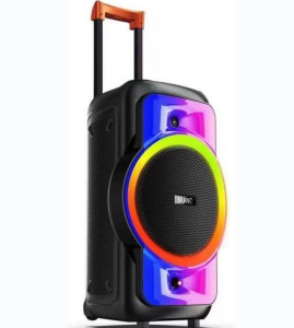 HANSUO 40 watt power trolley speaker HS-TS12M6 Lithium battery speaker