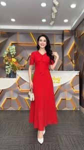 Đầm xòe - Y1865 - Thương hiệu Zonbig