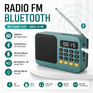 Radio FM Bluetooth Mini Cầm Tay Sanita Có Đèn LED - Loa Nghe Nhạc Thẻ Nhớ USB Sạc Type C