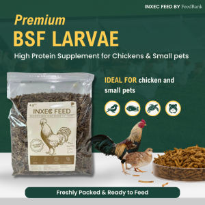 Dried BSF Larvae 1.5KG Dried Worms Black Soldier Fly Larvae Grubs For Chickens Birds Small Pets
