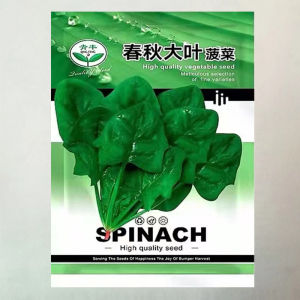 Large-leaf spinach is easy to turn purple in all seasons red spinach is heat and cold resistant and is a suitable potted garden vegetable