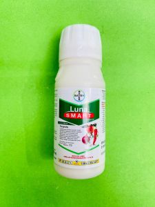 Fungisida LUNA SMART dari Bayer isi 100ml mantap