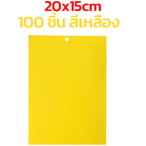 แผ่นกาวดักแมลง กาวเหนียว 2 ด้าน กาวดักแมลงวันทอง สีเหลือง