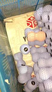 Shipped from China [BIN] Handheld Bumpy Yoga Fitness Muscle Relaxation Peanut Massage Ball for Back Neck Foot Meridian Acupoint and Fascia