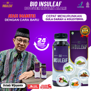 BIO INSULEAF ORIGINAL - INSULIN HERBAL ALAMI MENURUNKAN GULA DARAH BANTU ATASI DIABETES & OBATI KENCING MANIS