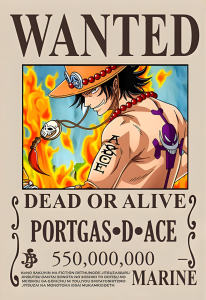 17pcs One Piece White Beard Pirates Bounty Poster Stickers | High Quality | High Definition