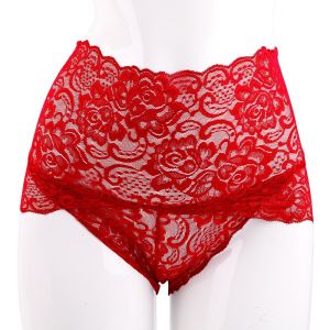【Free Shipping】Lace Underwear Woman Knickers Lace Panties for Women Mesh Floral Lingerie Female Seamless Briefs Underpants Plus Size on Sale