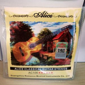 Alice สายกีต้าร์ คลาสสิค "ของแท้ ได้รับใบรับรองจากผู้ผลิต"