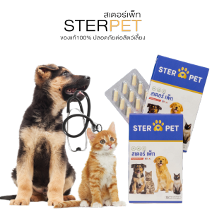 STER PET สเตอร์เพ็ท สูตรหมอแนะนำ แมวป่วยมะเร็ง เนื้องอก เบื่ออาหาร ปลอดภัย มีทะเบียนยาและวิจัยรับรอง