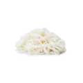 Shirataki Noodles (200g). 