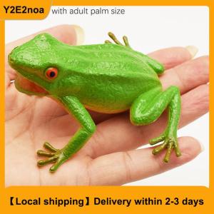 【Local shipping】 Spoof Toy Simulation Frog Model Animal Toy Toad Tricky Scary Squeeze Sound Frog Toys for Kids Hobby Collection Toys