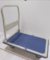 Platform Truck Pushcart Trolley 150 kgs. 