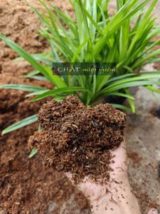 Hỗn Hợp Đất Trồng Trộn Sẵn - Đất trồng trộn sẵn - Xơ dừa trộn - Tro trấu trộn