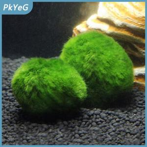 PkYeG 3-4cm Marimo Moss Balls Live Aquarium Plant Algae Fish Shrimp Tank Ornament Simulation Green Algae Balls Artificial Plant