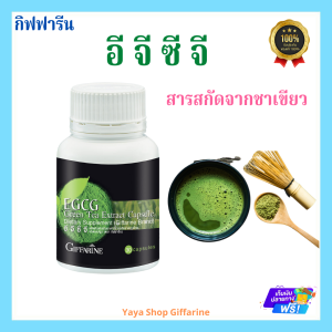 สารสกัดจากชาเขียว ชาเขียวสกัด อี จี ซี จี กิฟฟารีน EGCG Green Tea