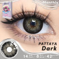 1 Pair Colored Contact 14.2mm PATTAYA Brown Gray Blue Green Wearing Soft Lens Natural Look Monthly Replacement. 