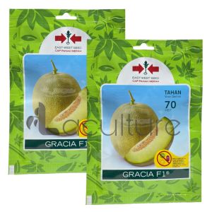 Benih Melon GRACIA F1 Isi 40 Butir Cap Panah merah