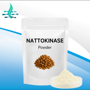 Nattokinase 5000 FU Powder – Food-Grade Active Enzyme Preparation – Fermented Nutritional Ingredient CAS 133876-92-3