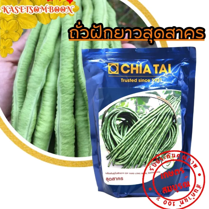 เมล็ดพันธุ์ถั่วฝักยาว สุดสาคร ตราเจียไต๋ ทนโรค รสชาติหวานกรอบ
