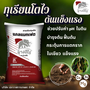 ปุ๋ย ทุเรียน ปุ๋ยบำรุงต้นทุเรียน ทุเรียนโตไว แข็งแรง กระตุ้นการแตกราก แตกยอดของทุเรียน ปรับค่า pH ในดิน