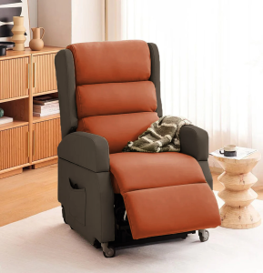 ALYA® Elderly Lift Up Armchair