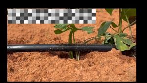 2000 METERS Soaker Hose Tube Dripper Strawberry Corn Orchard Watering Farm Irrigation PE Drip Tape