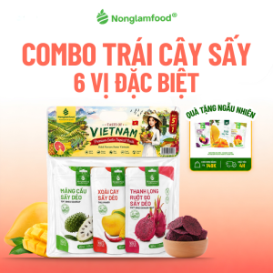 Combo B1 Trái Cây Sấy Dẻo 6 Vị Đặc Biệt NONGLAMFOOD Dẻo Mềm Chua Ngọt Hài Hòa Trái Cây Sấy Đồ Ăn Vặt