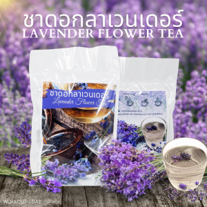 ชาดอกลาเวนเดอร์ ชาลาเวนเดอร์ Lavender Flower Tea ขนาด30ซอง