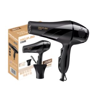 Blower Hair Dryer 2 in 1 Hot and Cold Hair Blower Dryer Low Noise Design Portable Travel Blower Pet Hair Dryer#pf133#lf037