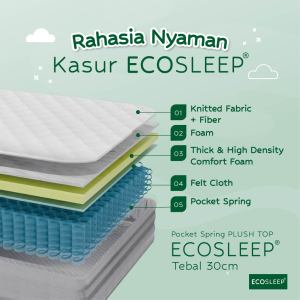 ECOSLEEP Pocket Spring PLUSH TOP 30cm