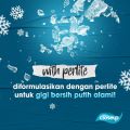 CLOSE UP PASTA GIGI ICY WHITE 160G Twinpack. 