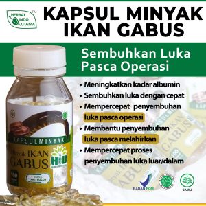 HIU – MINYAK IKAN GABUS Membantu Memelihara Kesehatan Herbal Indo Utama