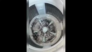 洗衣机专用强效杀菌爆氧粉涡轮滚筒强力深层消毒去污茶垢清洁剂
