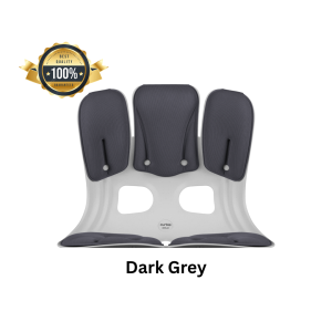 Curble Grand Plus / Posture Correction Chair / Support Back and Spine / Back Pain Relief / Posture Support / Lumbar Support / Office Chair Back Support / Ergonomic Chair