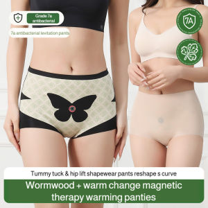 【SingaBralette】 Mugwort High Waist Tummy Control Panties Ice Silk Seamless Panty 7A Antibacterial Hip Lifting Shapewear