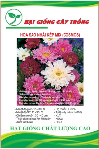 Hạt giống hoa cúc sao nhái hoa cánh kép mix màu CT43 - Gói 200 hạt