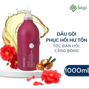 DẦU GỘI XẢ PHỤC HỒI TÓC HƯ TỔN HƯƠNG HOA TRÀ SALON LINK (CHAI 1 LÍT)