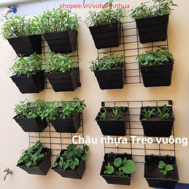 Mẹo Chọn Cây Xanh Treo Tường Phù Hợp Với Từng Loại Không Gian