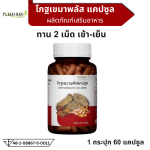โกฐเขมาพลัส แคปซูล ตราภูรีเฮิร์บ Puree Herb ปวดเมื่อย เส้นยึด เส้นตึง รองช้ำ 1 กระปุก 60 แคปซูล