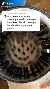 SWALLOW 50 PCS KARET BUBUT BULU AYAM/ KARET CABUT BULU AYAM SWALLOW / KARET PENCABUT BULU AYAM