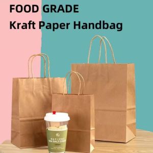 30PCS Twisted Handle Brown/Green Kraft Paper Bag with Twist Handle Bag Gift Bag Kraft Gift Bags Bulk for Craft Shopping Business Party Favor Retail Birthday Grocery