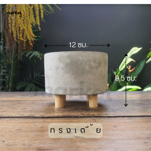 กระถางปูนซีเมนต์ ขาไม้ ขนาด 12 ซม. กระถางต้นไม้ปูนซีเมนต์ ตกแต่งบ้าน พร็อพถ่ายรูป แคคตัส สไตล์มินิมอล