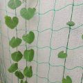 Lưới làm giàn leo, Lưới làm giàn cây leo, Lưới giàn mướp, nho, bầu bí, cây hoa, dưa chuột -Aeneas Shop. 