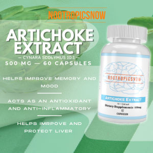 Artichoke Extract 500 mg 10:1 (60 capsules 60 servings) Nootropic Brain Booster Memory Mood Antioxidant Liver Support Natural Organic Supplement Antioxidant Cynarin Detoxification Fiber