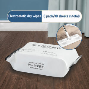 Electrostatic Dust Removal Mop Hand Free Wringing Floor Cleaning Mop Microfiber Mop Pads Wet or Dry Usage on Hardwood Laminate Tile Lazy Fellow Mop
