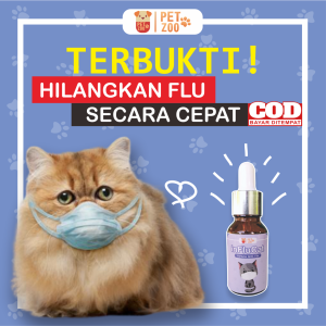 Obat Flu Kucing Flucat & Obat Batuk Pilek Bersin Kucing Influcat