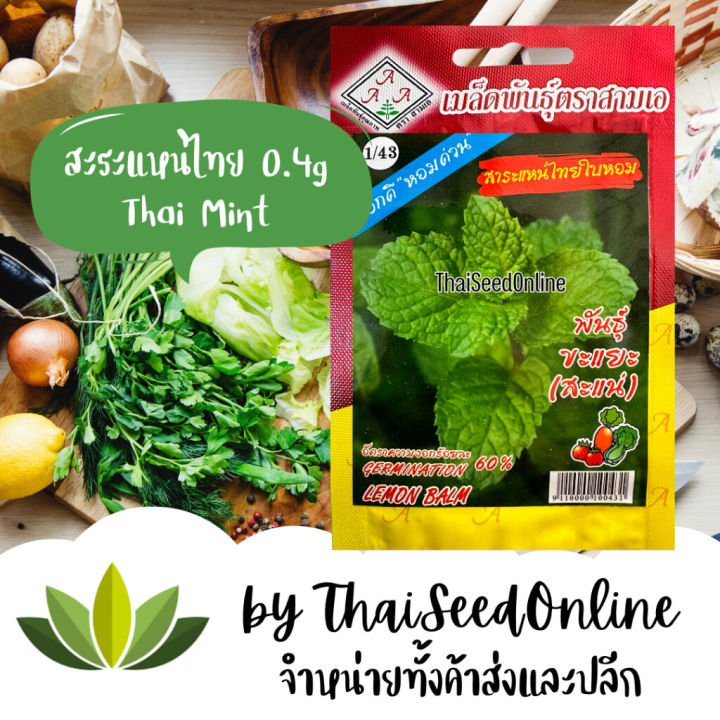 3A(สามเอ) 3A เมล็ดพันธุ์ สาระแหน่ 0.2 กรัม ขะแยะ สะระแหน่ ตราสามเอ (AAA ...